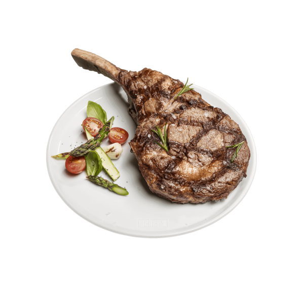 Plato llano
